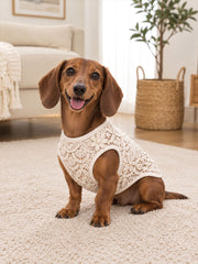 Hunde westen mit Blumen spitze