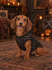 Halloween-Print-Hundewesten