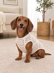 Hundewesten mit Blumen- und Spitzenmuster
