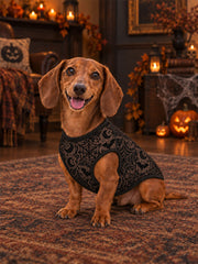 Hunde westen mit Halloween-Print